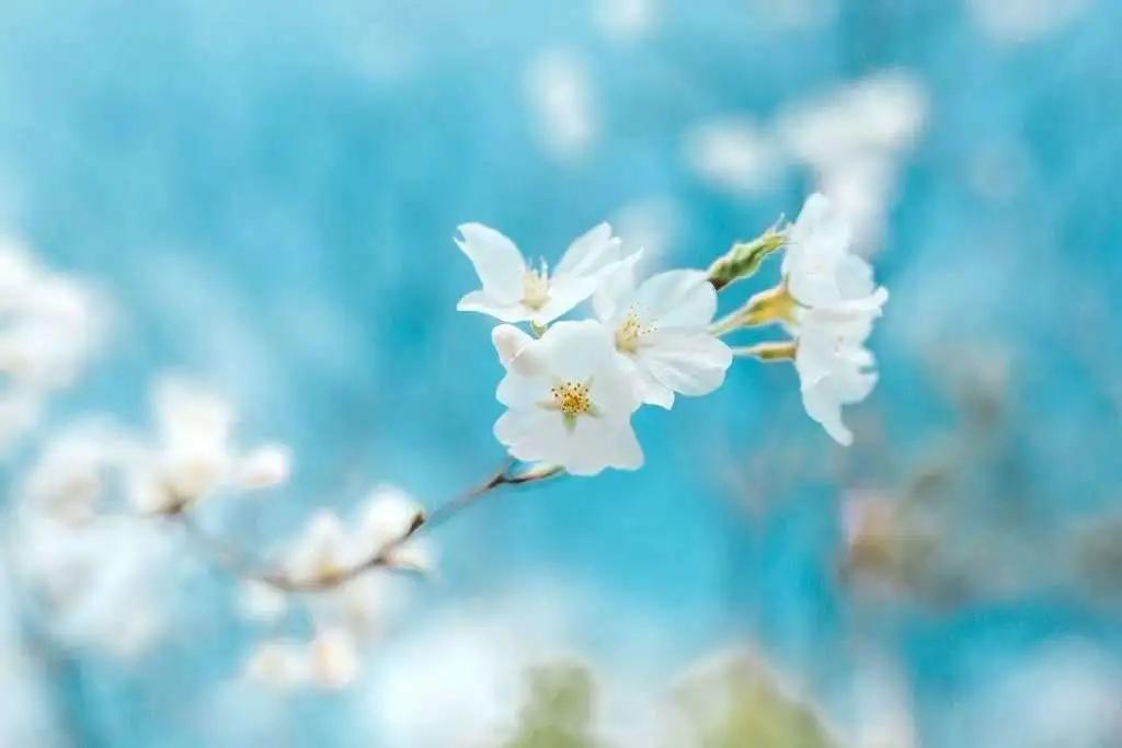 愿山河无恙,你我安好