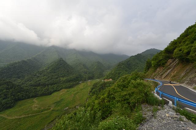 镇坪县有多少人口_镇坪山村人家买一头猪过年 做成腊肉吃一年