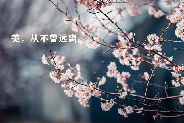 原创2020年春朋友圈美图的温暖传递闭关修炼的你一切都好么