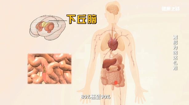 什么是节食反弹方法 a8bd28ec81c946ce9d70da416ae45541.jpeg