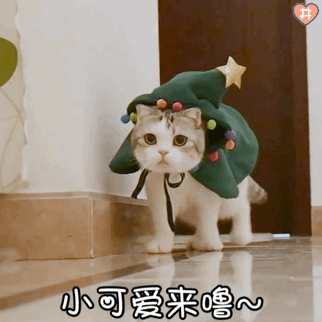 322_322gif 动态图 动图