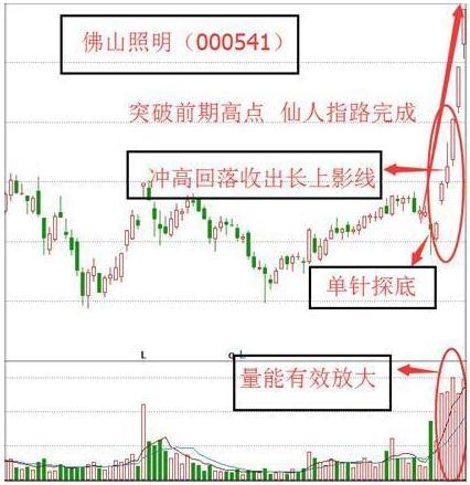 稳定形人口_稳定型人口(2)