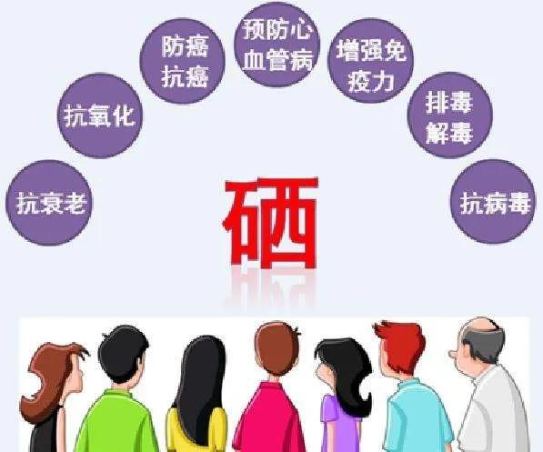 af91f8eb3a654ec1bbb3474828444cb3.JPG