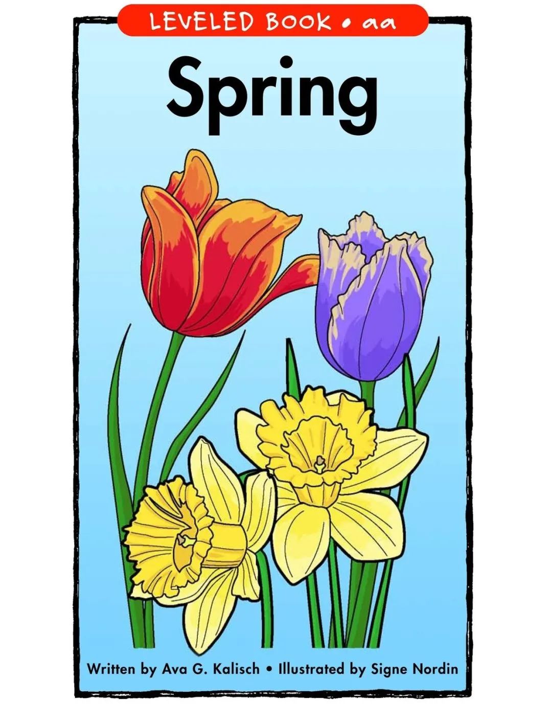spring
