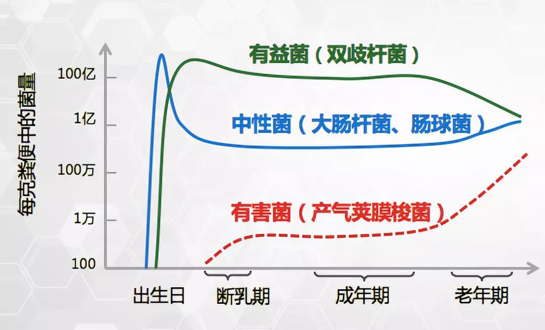 除了衰老导致的有益菌数量下降,许多生活习惯都在挑战