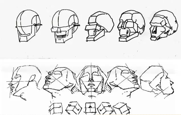 图片参考资料:人物头骨肌肉与素描头像关系讲解 头像体