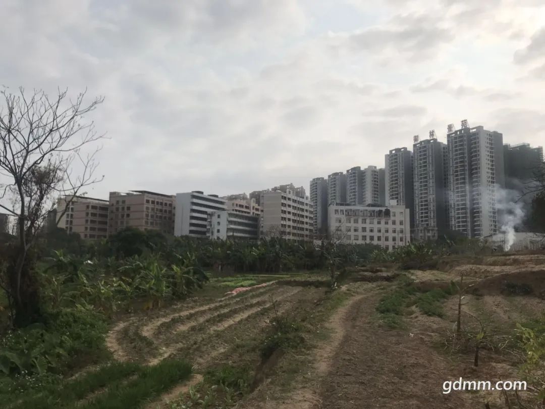 拆迁人均面积_人均耕地面积图(2)