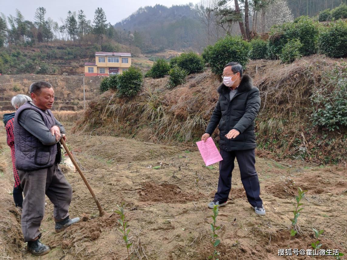 漫水河镇将科技大餐送到田间地头