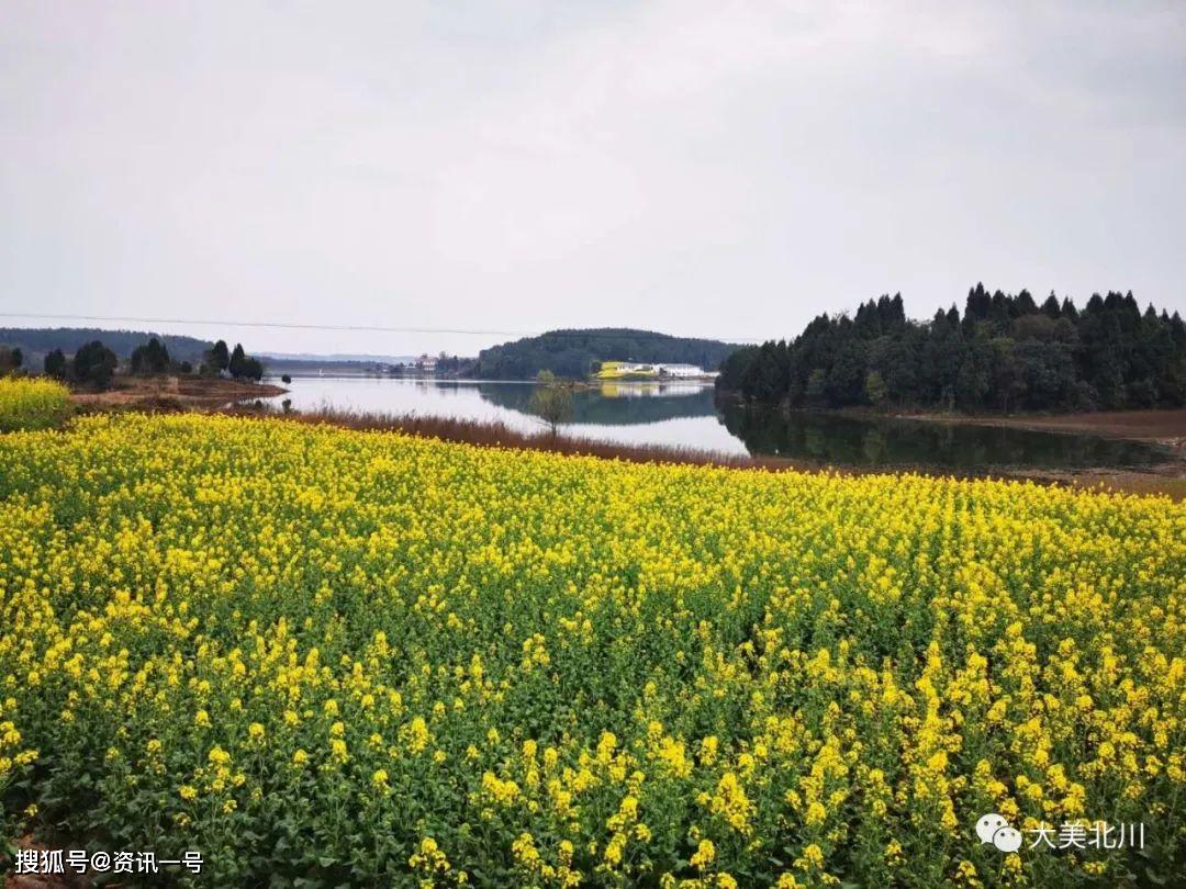 绵阳北川油菜花海美翻