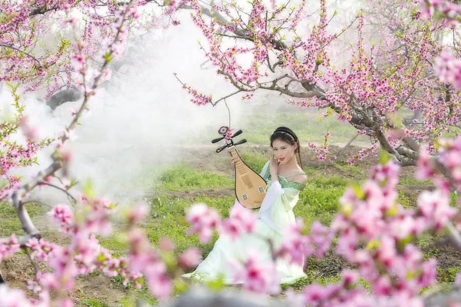 桃花开了,快来与我共听桃花歌,共赏桃花诗!