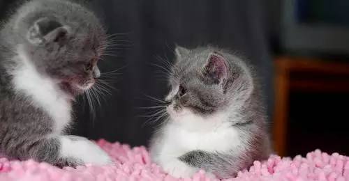 ����ʮ���ݳ�Ʒ,ӵ����Щ���㹻