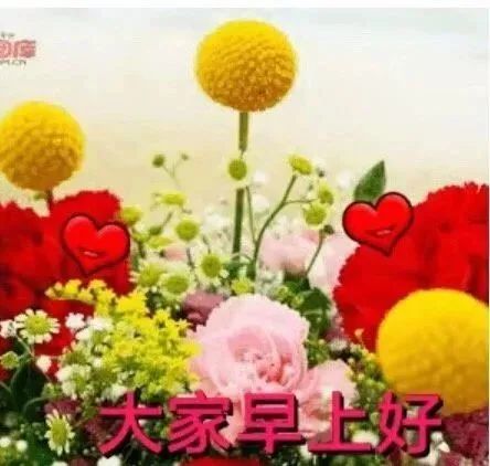 清晨祝福早上好的语录句子动态表情图片 漂亮的早上好