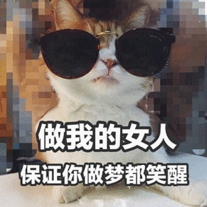 超可爱猫咪表情包:别过来,我怕猪,喵