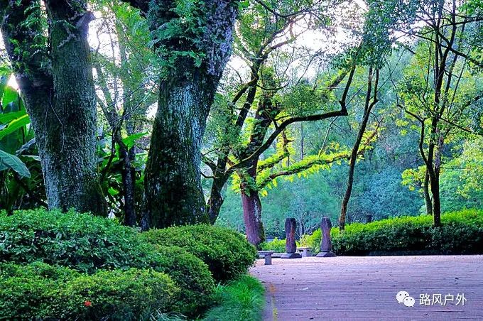 高圆圆赵又廷婚纱照(2)