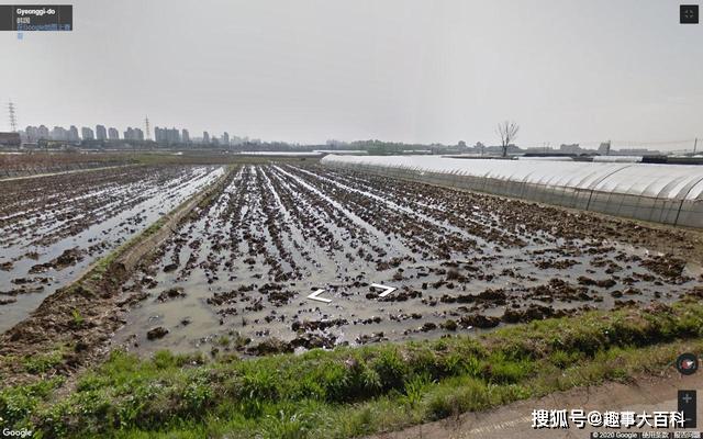 韩国现总人口_韩国美女