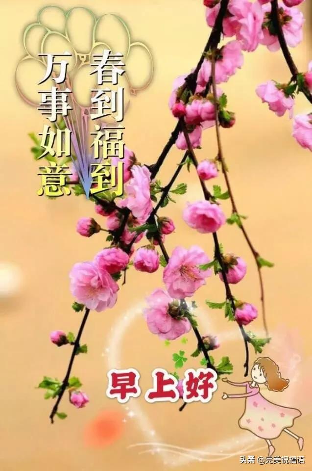 2020二月十三早安祝福语短信 周五早上好问候图片带字