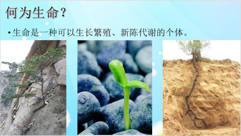 【抗击疫情】众志成城 攻克疫情——敬畏生命与自然