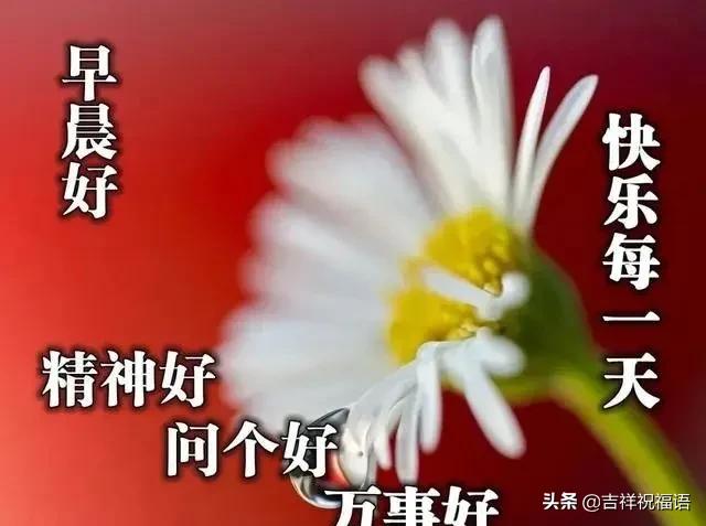 朋友圈早安漂亮问候图片短信祝福语,最美早上好问候语录祝福图片