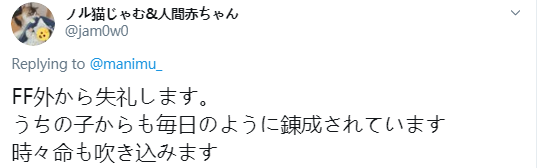 猫猫过生日，铲屎官亲手做了一份特殊的礼物送给它