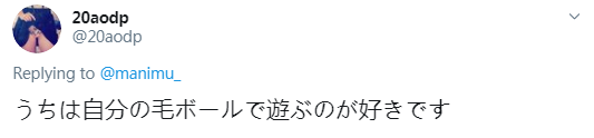 猫猫过生日，铲屎官亲手做了一份特殊的礼物送给它