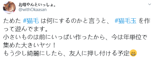 猫猫过生日，铲屎官亲手做了一份特殊的礼物送给它