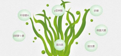 16dd1b470d8f486c94002a5b2915f62d.jpeg