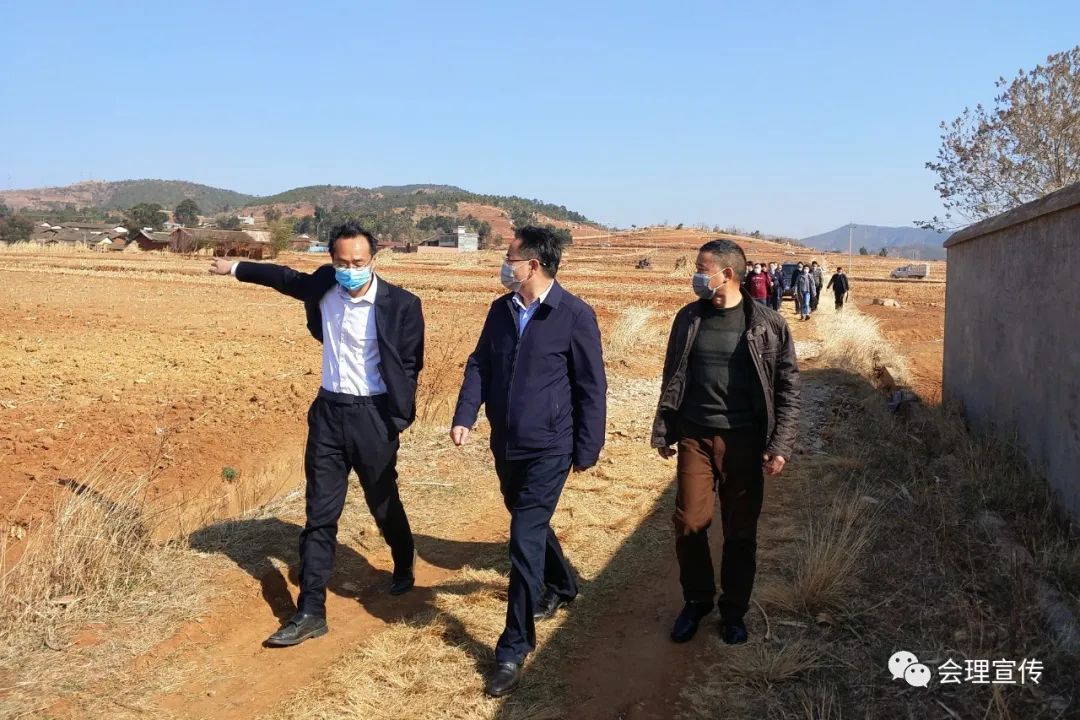 会理县黎溪镇新堰村规划建设2000亩集中连片烟田