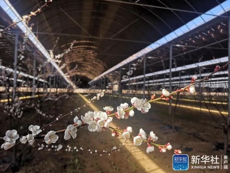 阳曲县gdp_阳曲县的经济概况