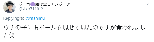 猫猫过生日，铲屎官亲手做了一份特殊的礼物送给它