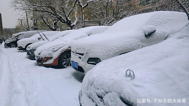 哈尔滨下雪太平常了 这就是雪后的正常景色