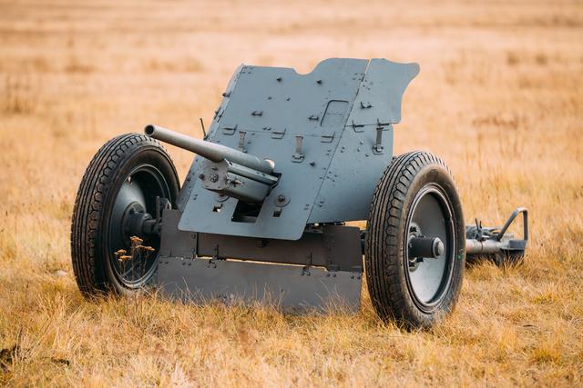 坐地炮 来自搜狐网