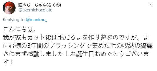 猫猫过生日，铲屎官亲手做了一份特殊的礼物送给它