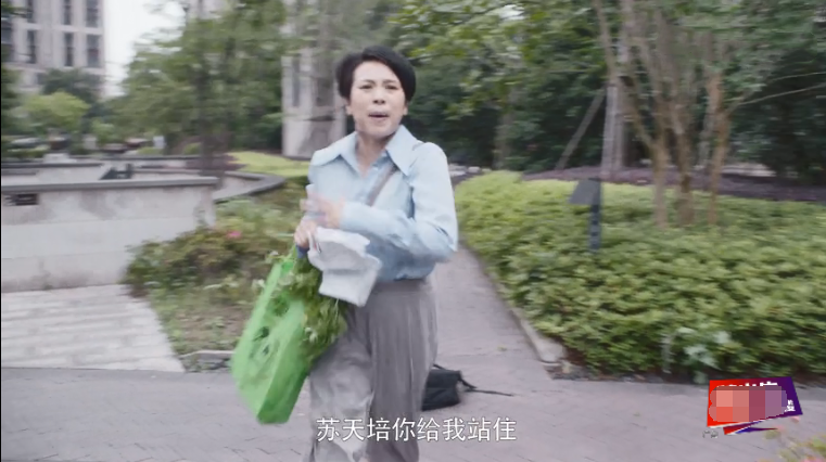 原创《安家》演员客串阵容强大!蔡根花林大宝,隐藏彩蛋你发现了多少