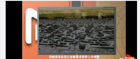 一竞技网址国家重点保护经济水生动植物资源名录(图3)