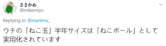 猫猫过生日，铲屎官亲手做了一份特殊的礼物送给它