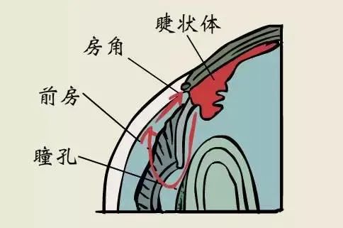 艾滋病人口水弄进眼睛_艾滋病症状图片(2)