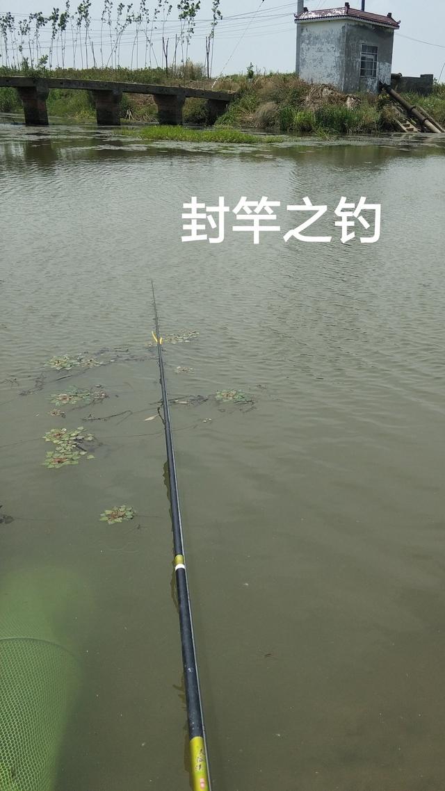 随便说说浅聊钓鱼封竿的几种典型问题