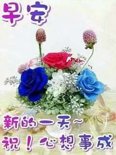 853f0e9b74a442f492e559ffc8ba033a.jpeg