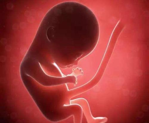 分娩后，脐带中的血，是挤回到母体里好，还是挤向胎儿好？