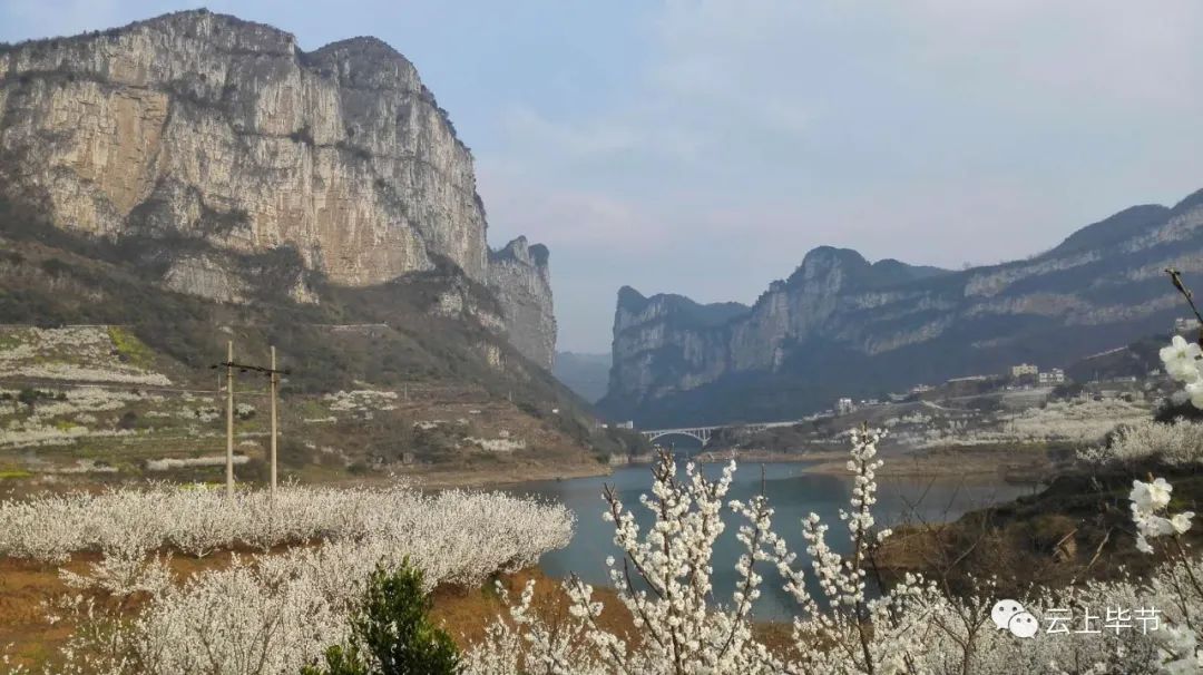 织金县猫场镇人口_织金县龙场镇图片(3)