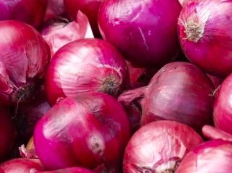 洋葱的功效与作用及害处图片 9d554ee9f54f46cd8a4e8572f8646527.jpeg