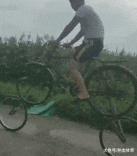 aefbca39d81a423abc84eb6646f31769.gif