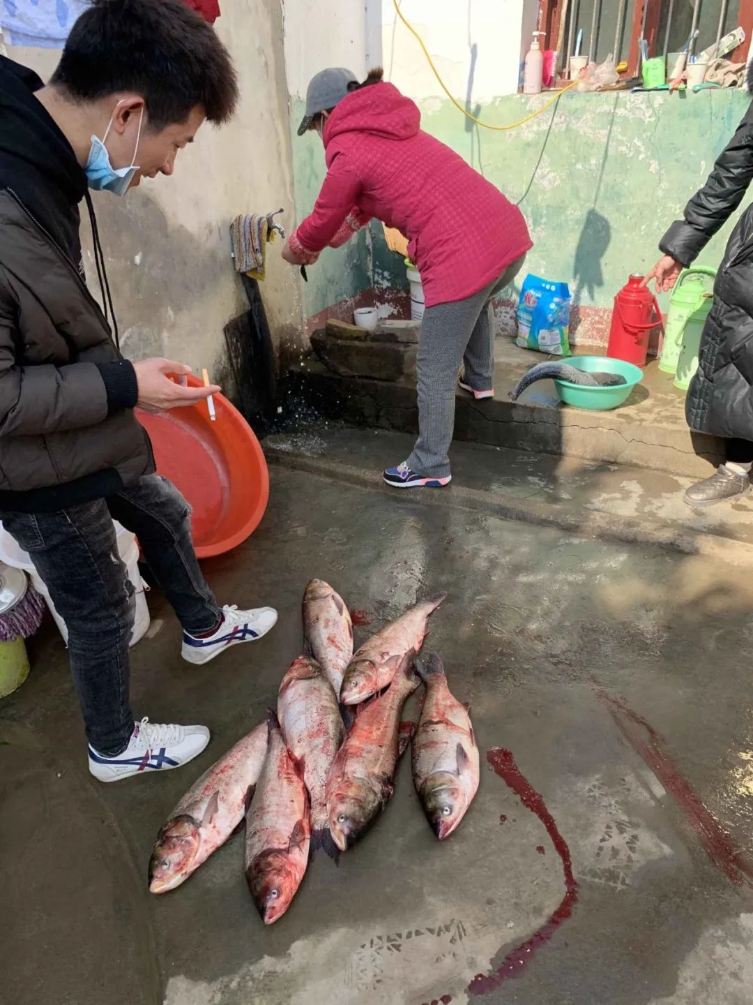 半头猪大概有多少斤 b042f80a546e451680cffbe15d4b9fa8.jpeg