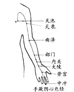 拍打心包经:经络养生:拍打心包经,摩内关,撞大陵,拍极泉食疗养生:莲心