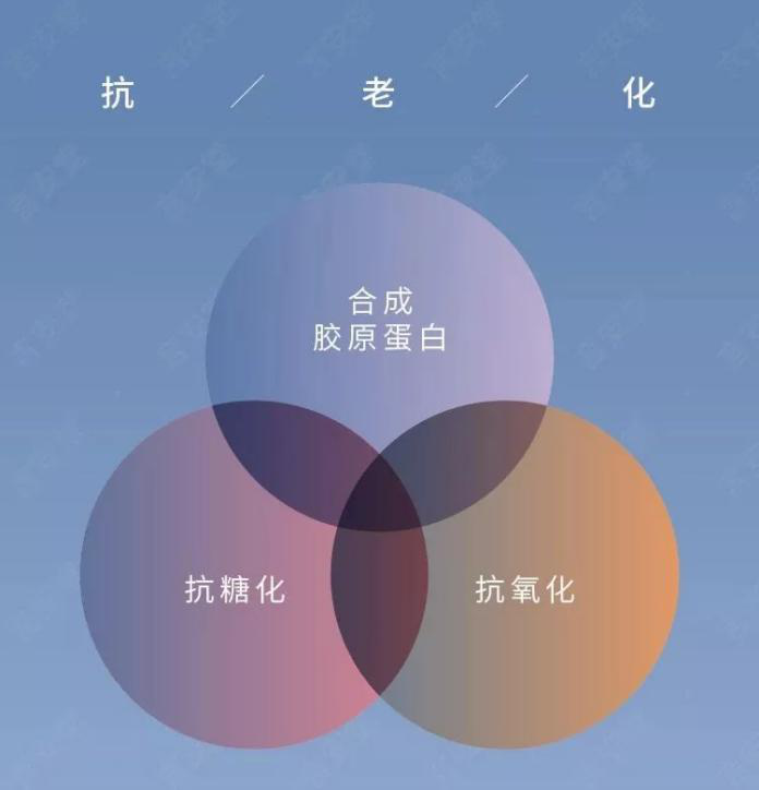 b91f781072d640f2b81d3dcc397393cb.png