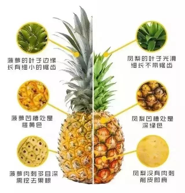c2760f5ab6874cf28f6d2e62783ee331.jpeg