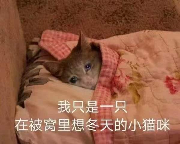 不懒人口罩_七鹤大人不戴口罩图片(2)