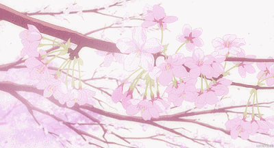 【一起画水彩】樱花绚烂,等你归来