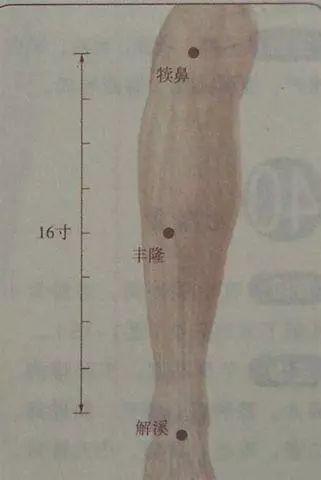 血脂怎么治疗效果好 d872679e89454175a50fa8628e2e501b.jpeg