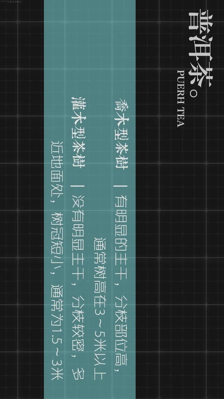 dbc77cf40f1b47f9b455f8fba1cf57a0.jpeg